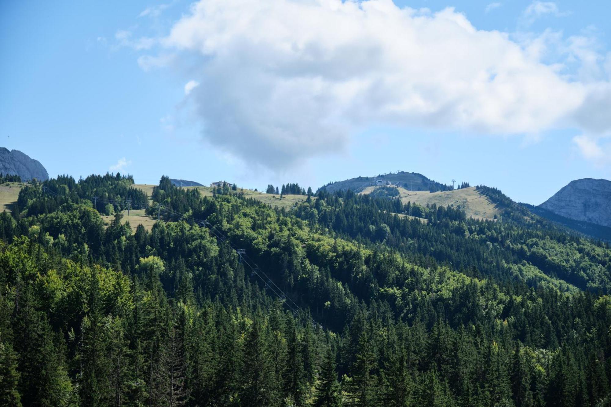 Cosy And View On Mountains *